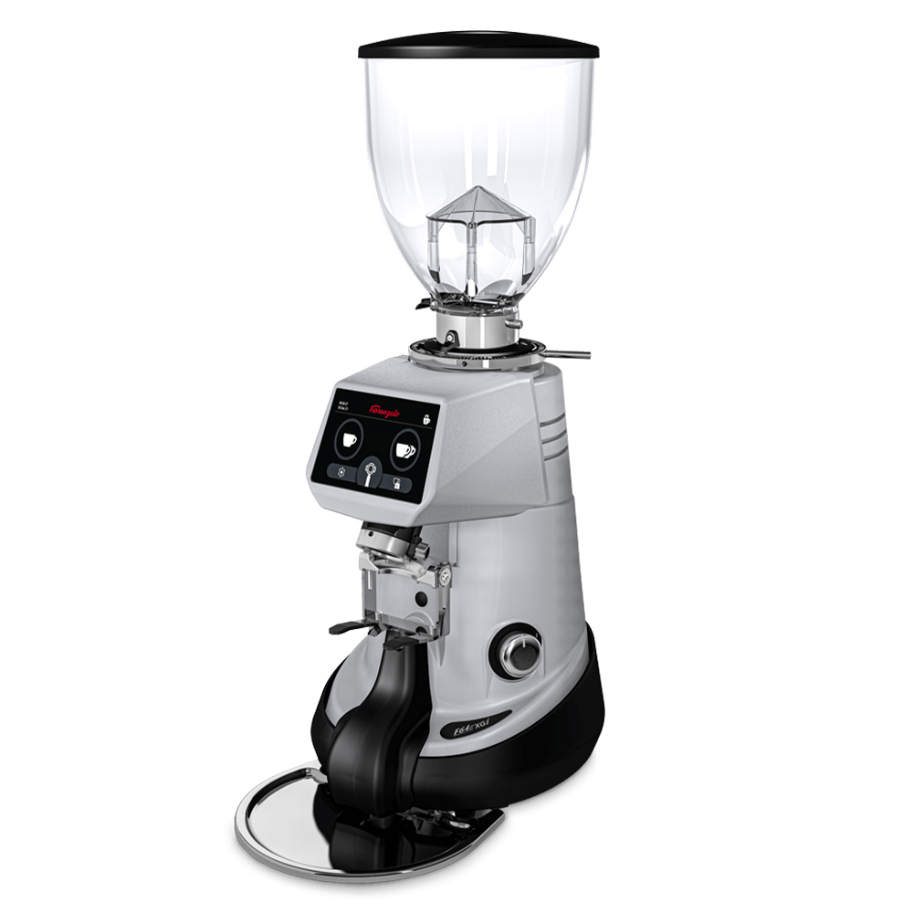 Кофемолка FIORENZATO F64 XGI серая