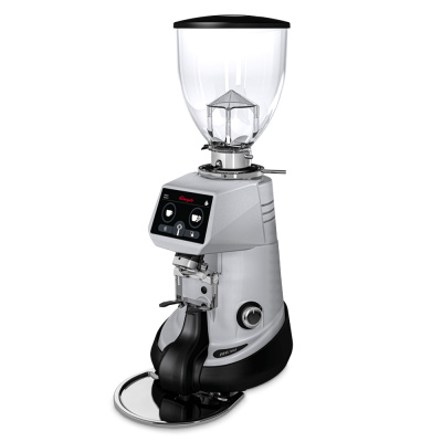 Кофемолка FIORENZATO F64 XGI серая
