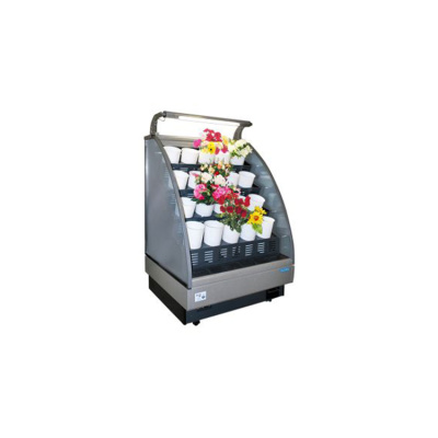 Горка холодильная для цветов EQTA СДв 1,0 Arona Fl (mini) RAL 9011