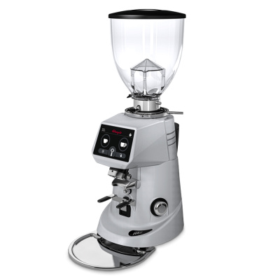 Кофемолка FIORENZATO F64 E EVO серая